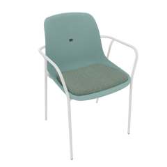 Pastel Turquoise Veeda Fine Armchair